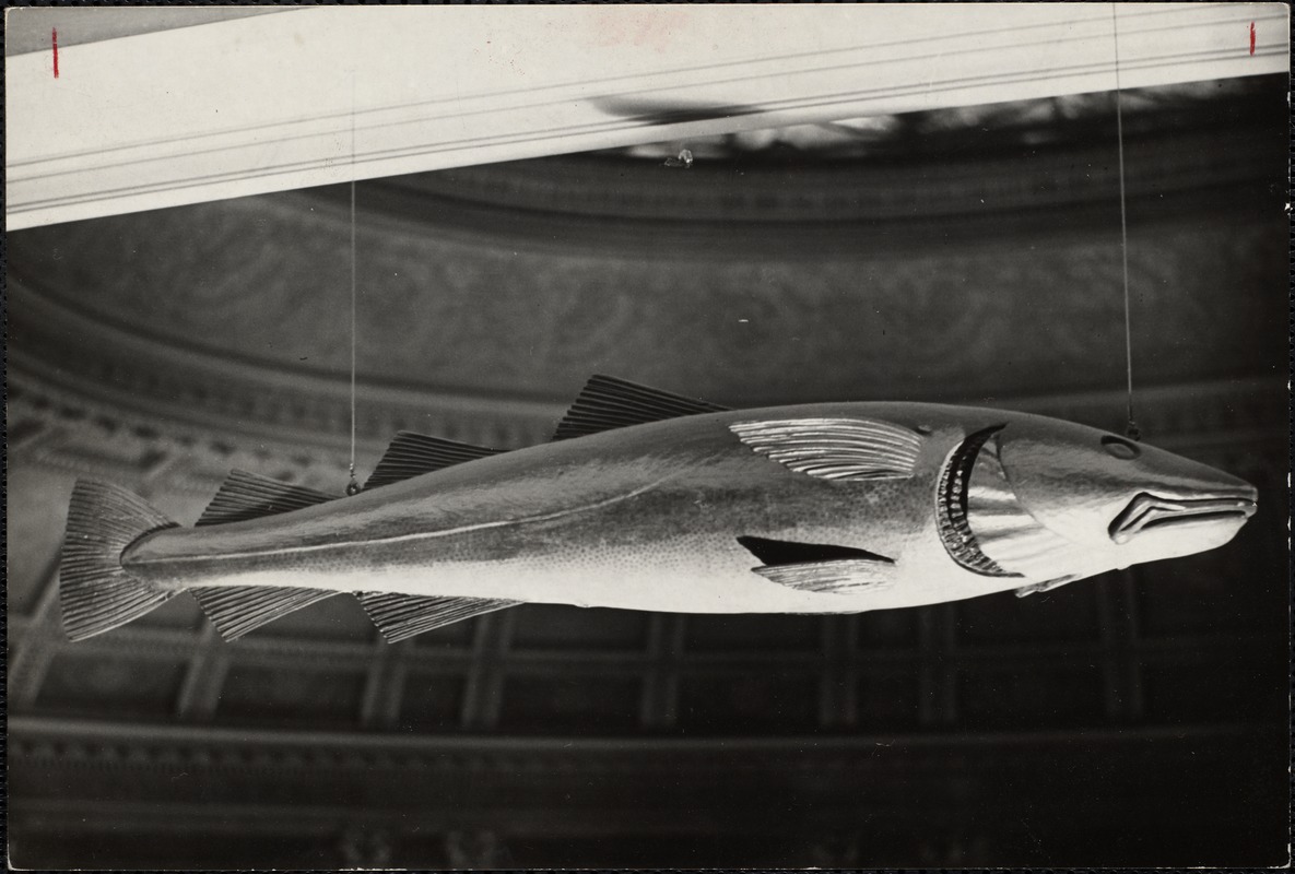 Codfish Aristocracy - streetsofsalem